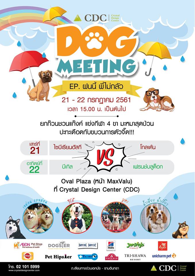 CDC Dog Meeting Ep. ฝนนี้พี่ไม่กลัว
