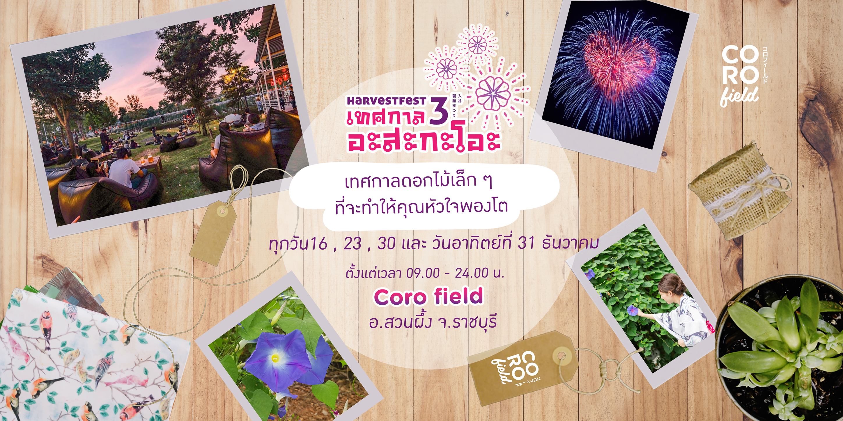 HarvestFest ปี 3 ตอนเทศกาลอะสะกะโอะ