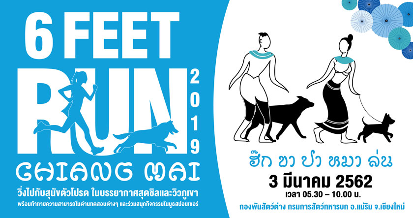 6 Feet Run 2019 @Chiang Mai