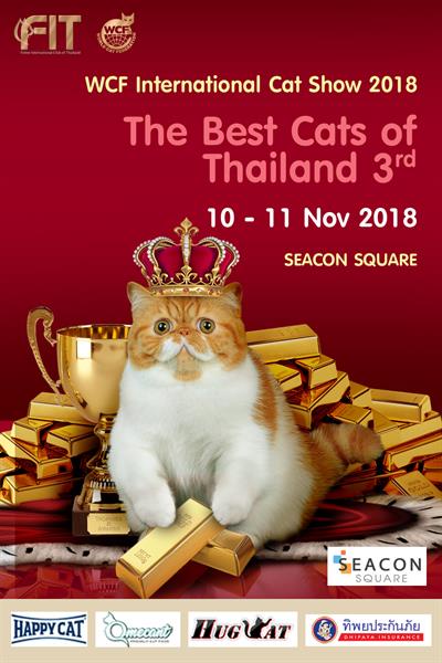The Best Cats of Thailand 3rd