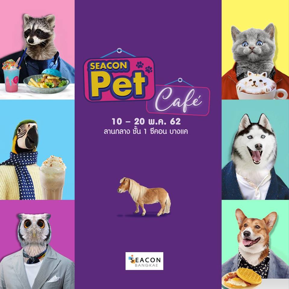 Seacon Pet Café