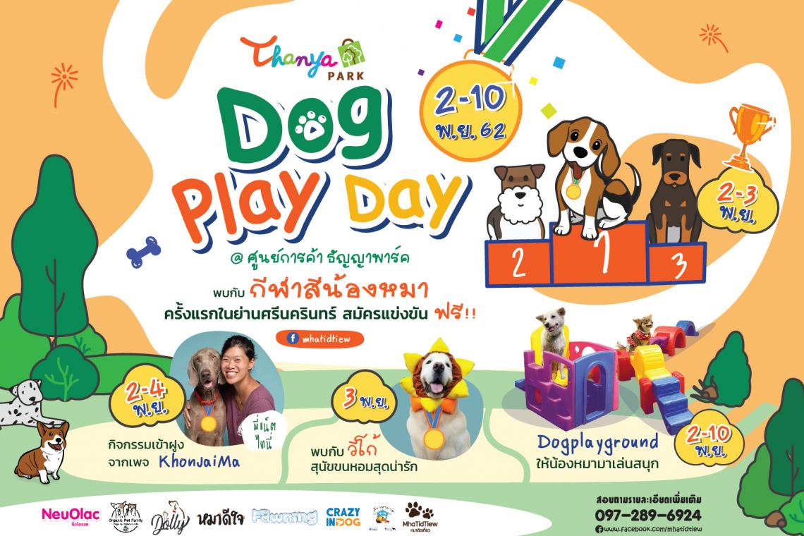 Thanya Park : Dog Play Day