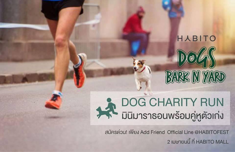 Dog Charity Run