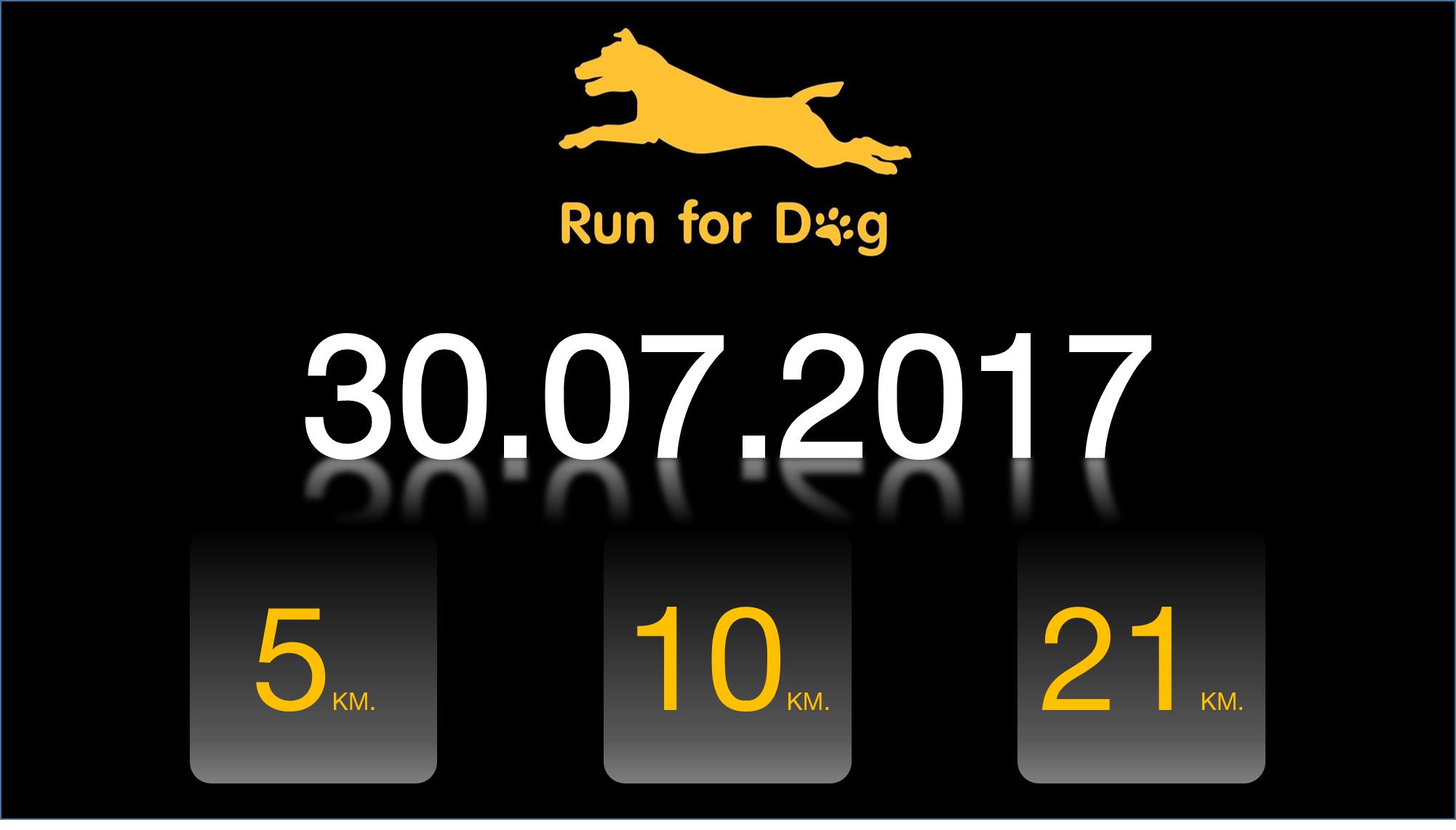 Run For Dog 2017