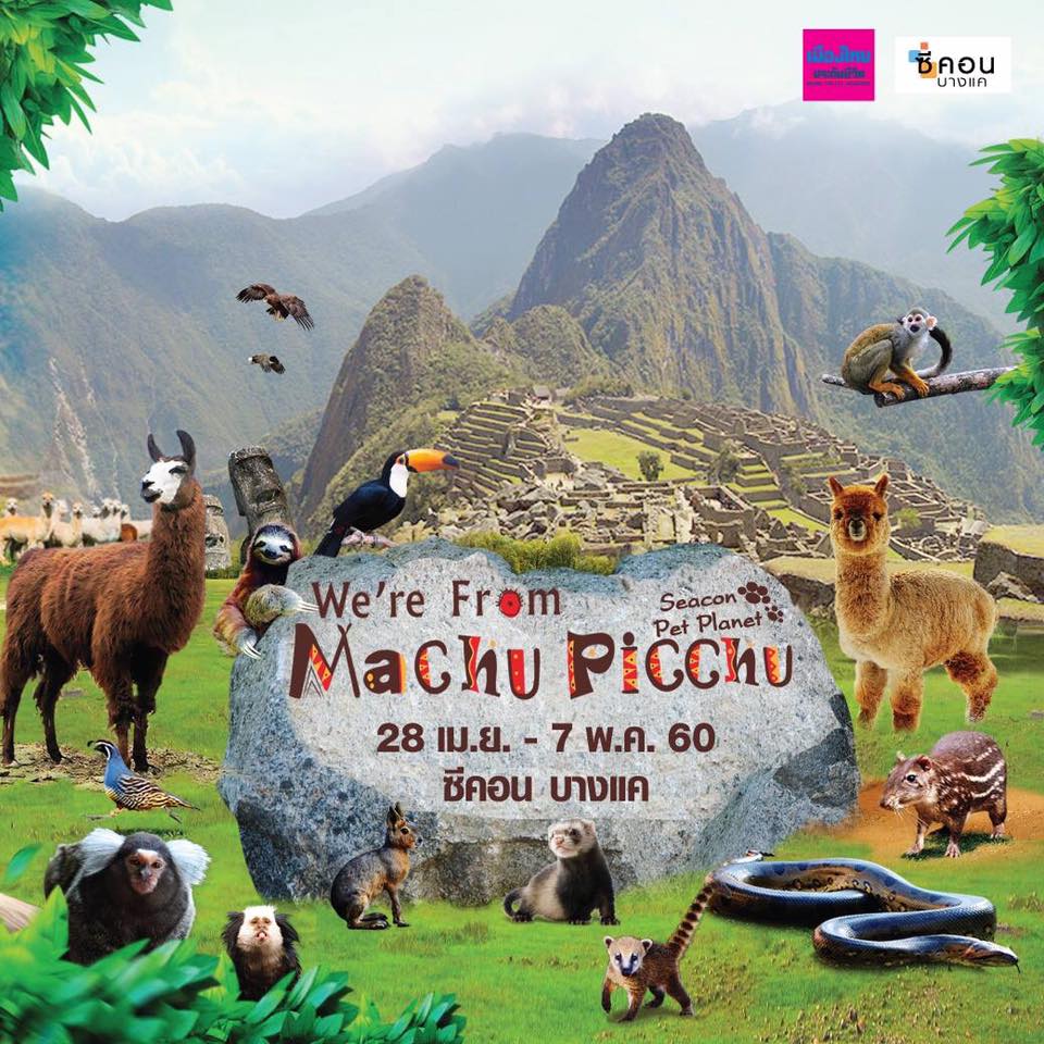 We are from Machu Picchu (Seacon Pet Planet)