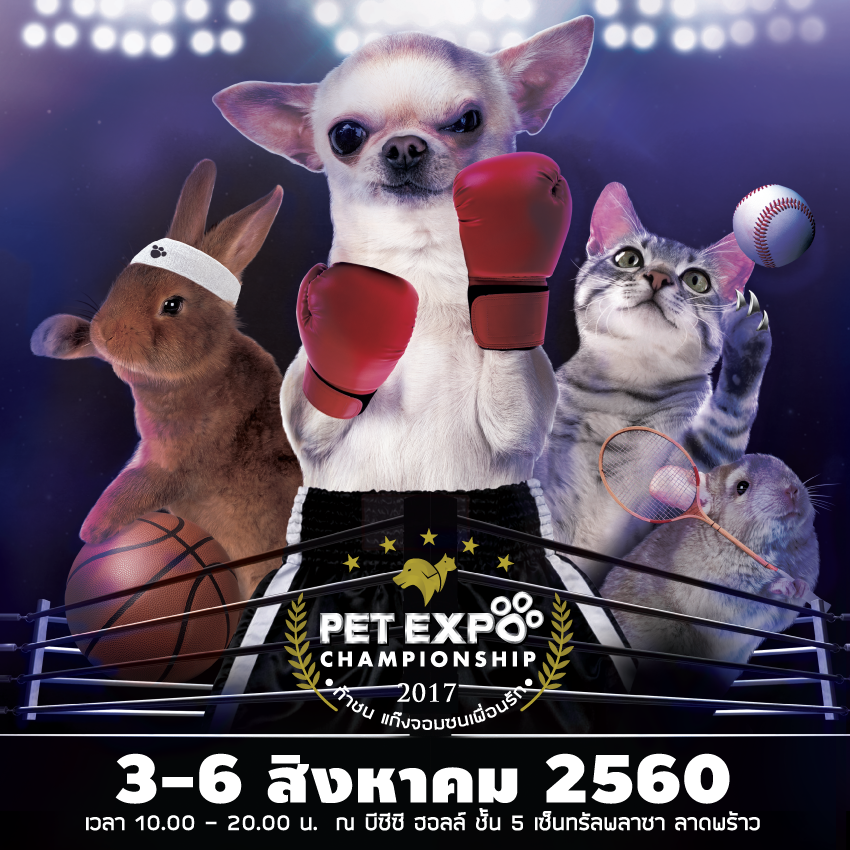 Pet Expo Championship 2017
