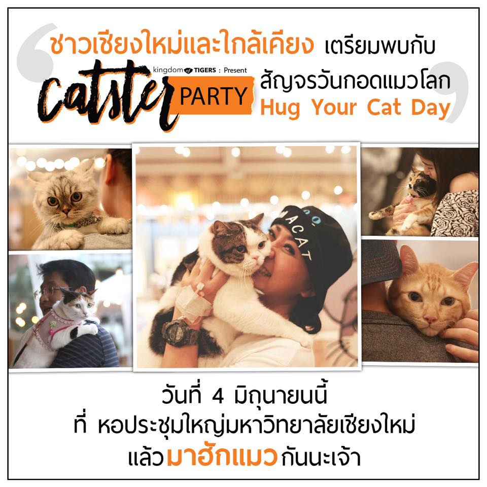 Catster Party @ Chiangmai