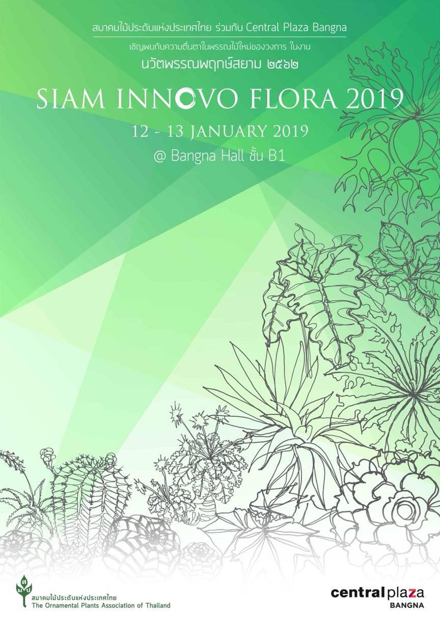 Siam Inovo Flora 2019