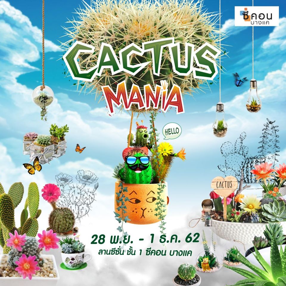Cactus Mania