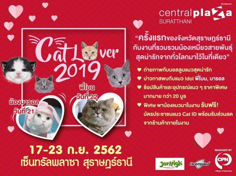 Cat Lover 2019 @CentralPlaza Suratthani