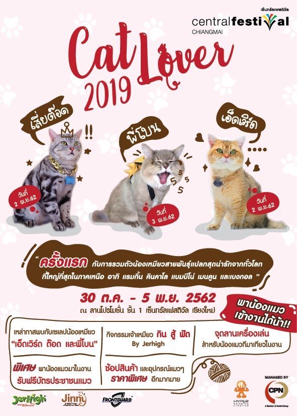 CAT LOVER 2019