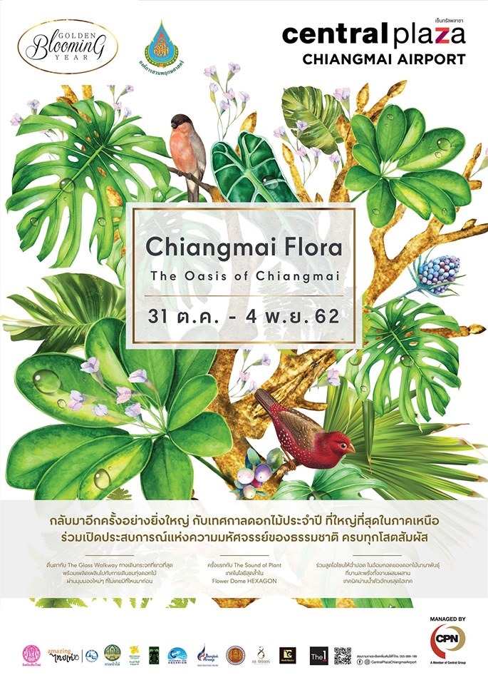 Chiangmai Flora 2019 : The Oasis Of Chiangmai