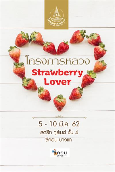 โครงการหลวง Strawberry Lover