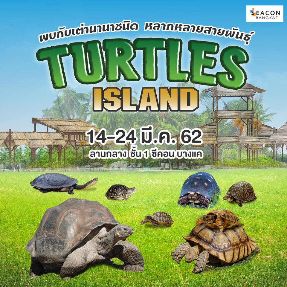 Turtles Island