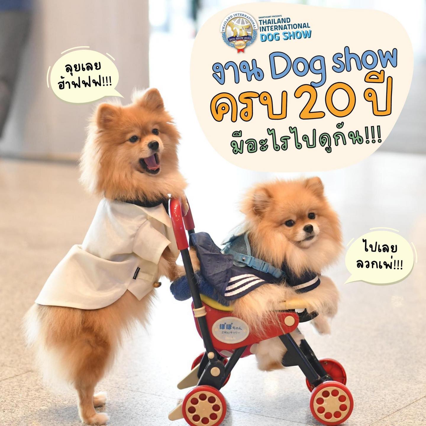 SmartHeart presents Thailand International Dog Show 2022 (TIDS 2022)