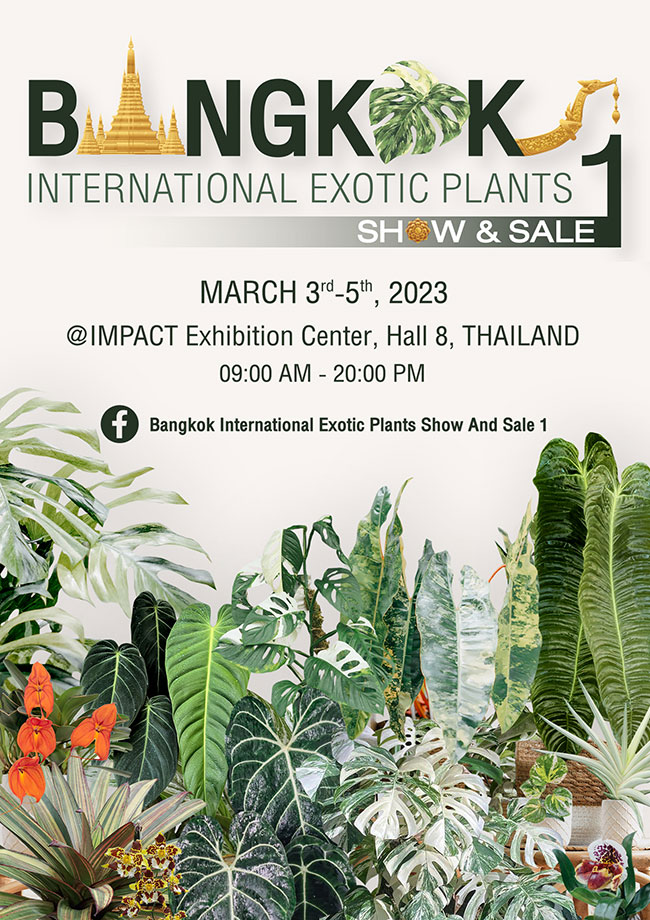 Bangkok International Exotic Plant Show and Sale 1